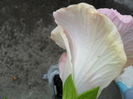SAM_6160