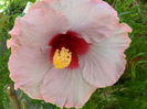 SAM_6198