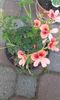 20150530_165521