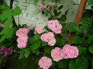 DSCN0713