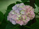 DSCN0716
