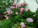 DSCN0718