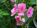 DSCN0720