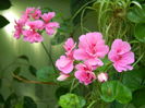DSCN0722