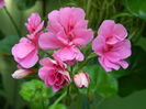 DSCN0723