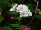 DSCN0724