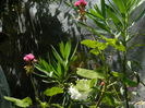 DSCN0875
