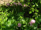 DSCN0877