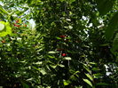 DSCN0880
