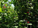 DSCN0881