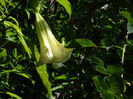 DSCN0885