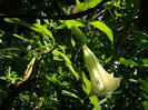 DSCN0888
