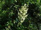 DSCN0895