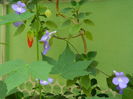 DSCN0903