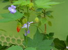 DSCN0904