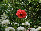 DSCN0912