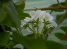 DSCN0925