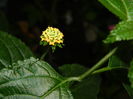 DSCN0940
