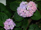 DSCN0941