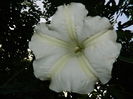 DSCN0957