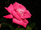 DSCN0976