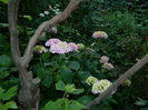 DSCN0979