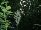 DSCN0982