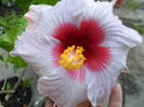 SAM_6245