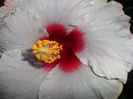 SAM_6270