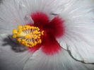 SAM_6271