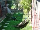 DSC00651