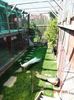 DSC00662