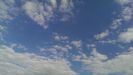 IMAG7031