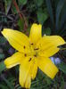 DSC04230