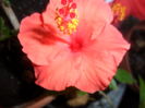 SAM_6314
