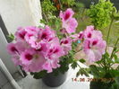 DSCN4421