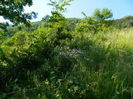 DSCN9926