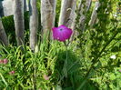DSCN9932