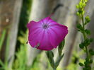 DSCN9933