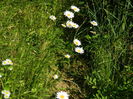 DSCN9946