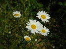 DSCN9947