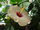 DSC01888