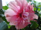 DSC01873