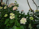 DSCN9719