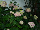 DSCN9722