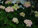 DSCN9733