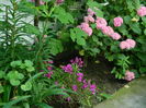 DSCN0856