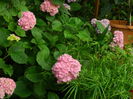 DSCN0857