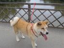 20150619_191708[1]