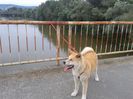 20150619_192735[1]